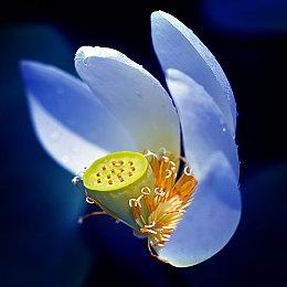 Xbox Design加回橡皮手柄与金属光泽配件选项